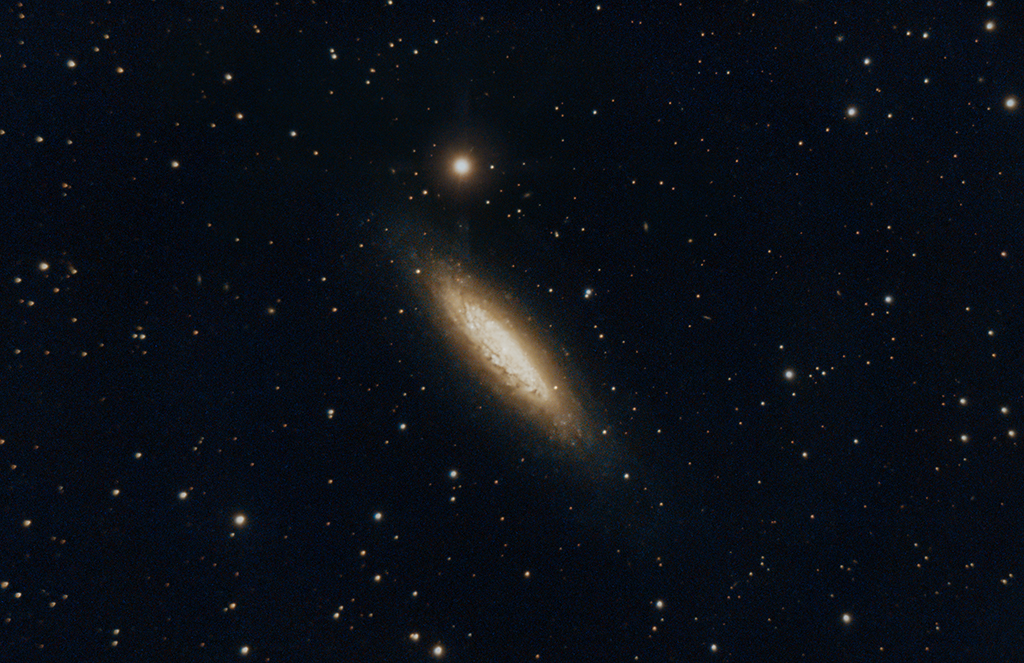 NGC6503 14072023